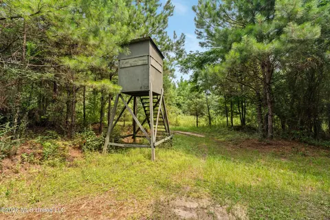 Other - 232 Knoxo Columbia Rd, Kokomo, MS 39643 photo 30 of 65