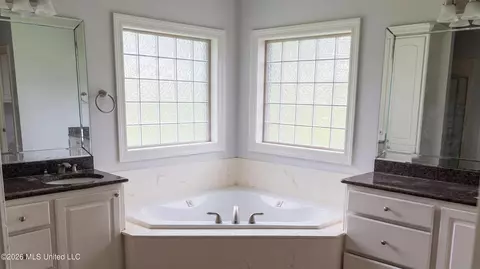 Bath - 509 Susannah Dr, Brandon, MS 39047 photo 1 of 2
