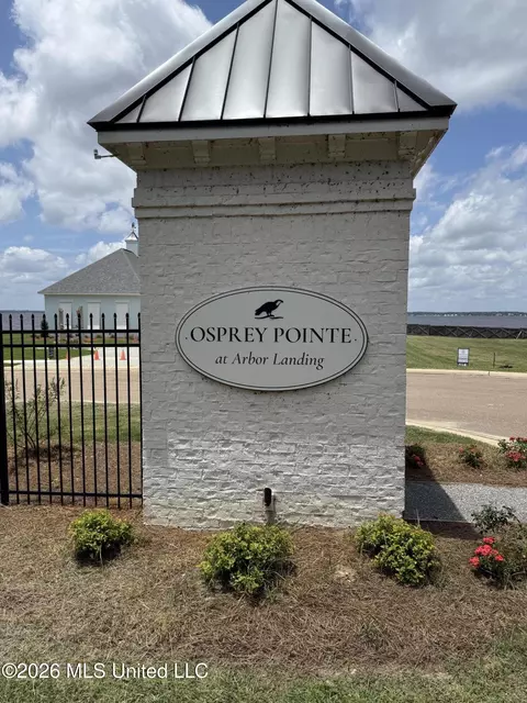 619 Osprey Cv, Brandon, MS 39047 photo 8
