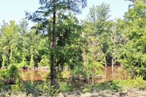 109 Hickory Ln, Lucedale, MS 39452 photo 20
