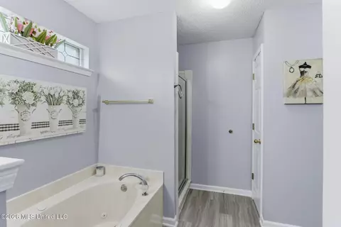 Bath - 6289 E Sandbourne, Olive Branch, MS 38654 photo 3 of 4