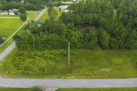 Spring Briar Trail, Saucier, MS 39574 photo 16