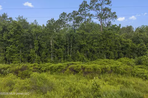 Spring Briar Trail, Saucier, MS 39574 photo 3