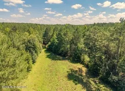 Nell Lambert Road, Jayess, MS 39641 photo 5