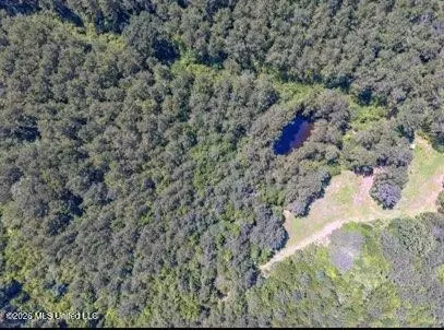 Nell Lambert Road, Jayess, MS 39641 photo 3
