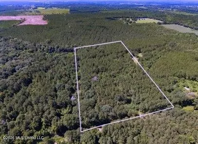Nell Lambert Road, Jayess, MS 39641 photo 4