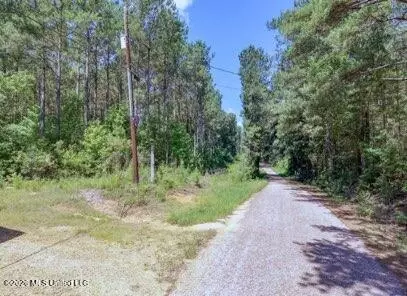 Nell Lambert Road, Jayess, MS 39641 photo 2