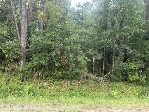 tbd River Ridge Rd, Summit, MS 39666 photo 1