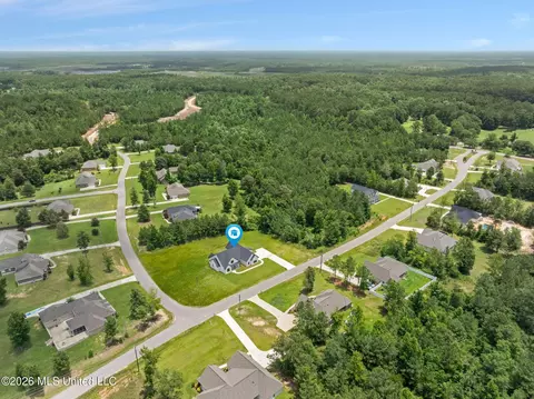 View/Area - 40 Whistlestop, Sumrall, MS 39482 photo 2 of 4