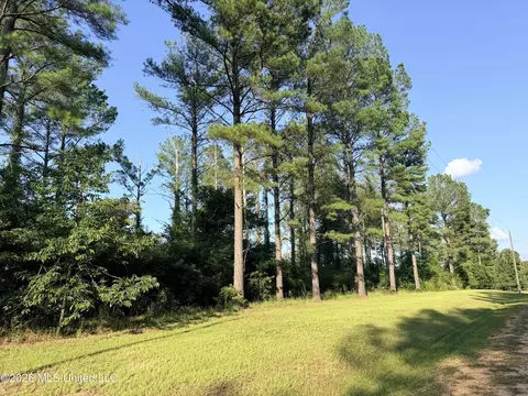 Lake Springwater Drive, Brandon, MS 39042 photo 4