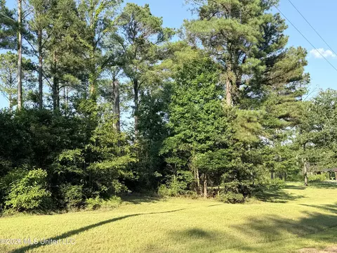 Lake Springwater Drive, Brandon, MS 39042 photo 6