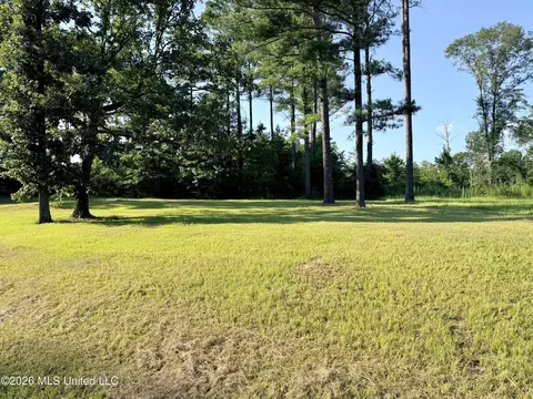 Lake Springwater Drive, Brandon, MS 39042 photo 3