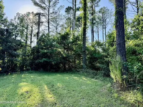 Lake Springwater Drive, Brandon, MS 39042 photo 9