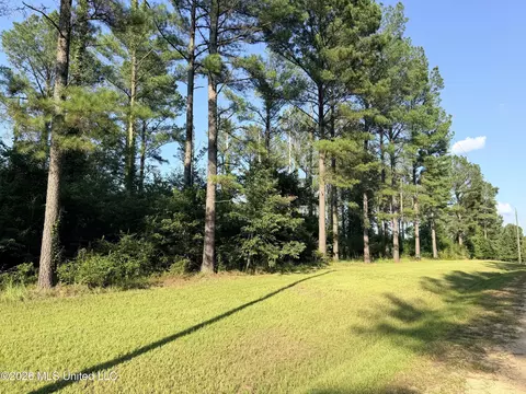 Lake Springwater Drive, Brandon, MS 39042 photo 5