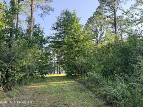 Lake Springwater Drive, Brandon, MS 39042 photo 10