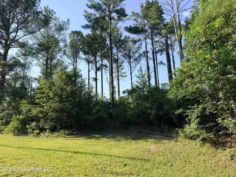 Lake Springwater Drive, Brandon, MS 39042 photo 8