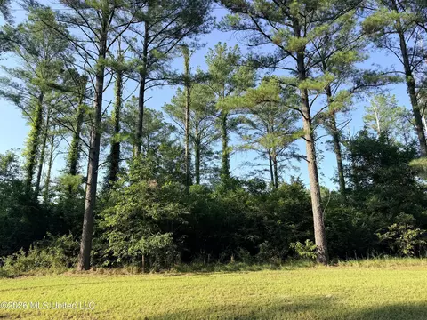 Lake Springwater Drive, Brandon, MS 39042 photo 2