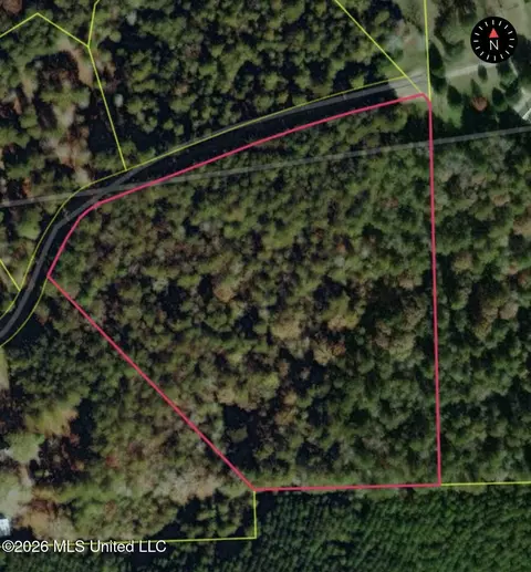 Shelton Cedar Road, Moselle, MS 39459