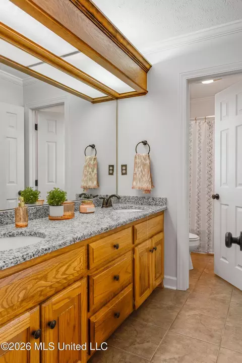 Bath - 109 Willow Brook Rd, Brandon, MS 39047 photo 4 of 4