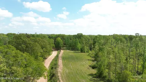 Stevens Rd, Bentonia, MS 39040