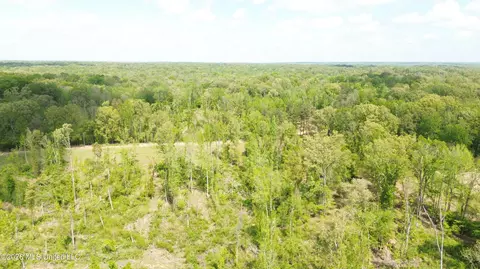 Stevens Rd, Yazoo City, MS 39194 photo 3