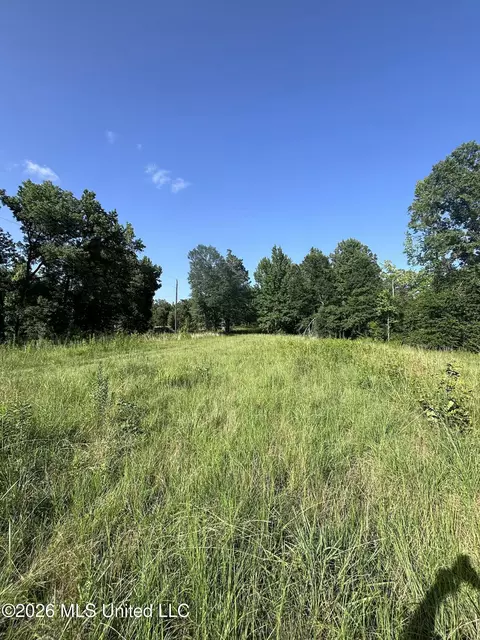 Stevens Rd, Yazoo City, MS 39194 photo 13