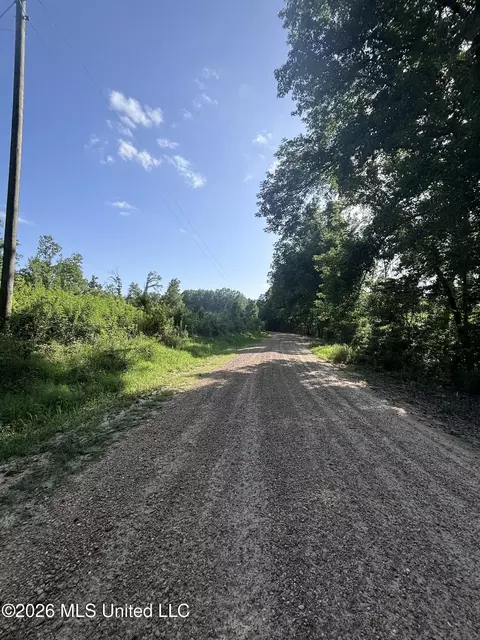 Stevens Rd, Yazoo City, MS 39194 photo 19