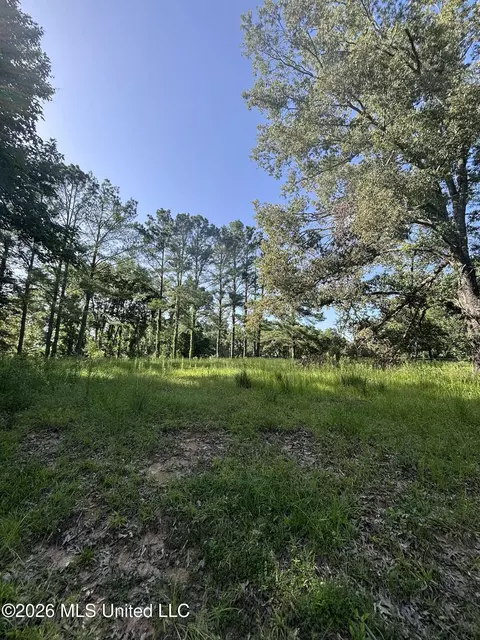 Stevens Rd, Yazoo City, MS 39194 photo 10