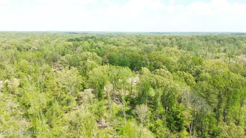 Stevens Rd, Yazoo City, MS 39194 photo 4