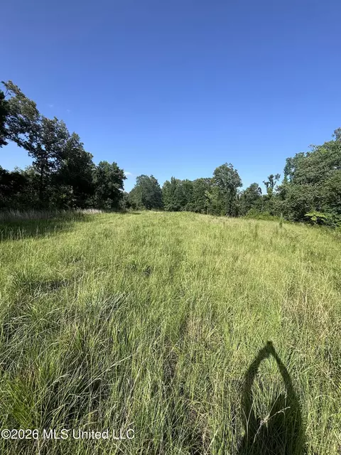 Stevens Rd, Yazoo City, MS 39194 photo 17