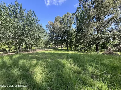 Stevens Rd, Yazoo City, MS 39194 photo 8