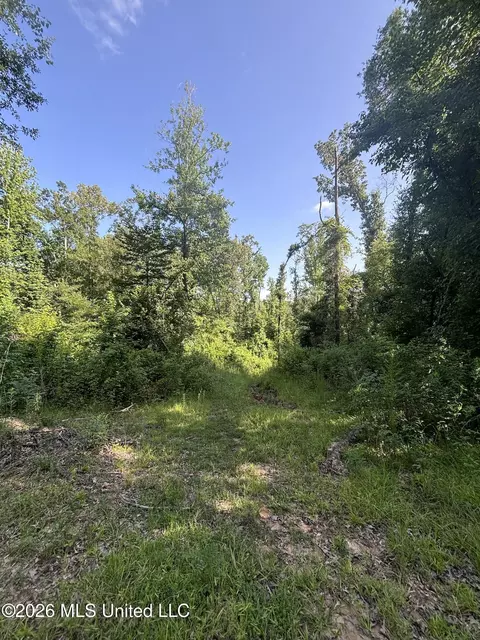 Stevens Rd, Yazoo City, MS 39194 photo 9