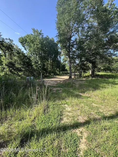 Stevens Rd, Yazoo City, MS 39194 photo 18