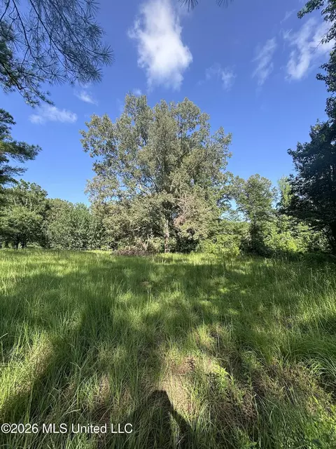 Stevens Rd, Yazoo City, MS 39194 photo 6