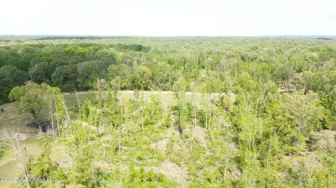 Stevens Rd, Yazoo City, MS 39194 photo 2