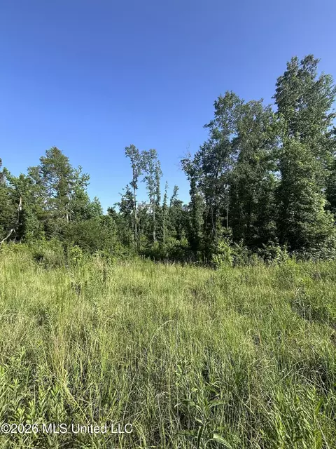 Stevens Rd, Yazoo City, MS 39194 photo 16