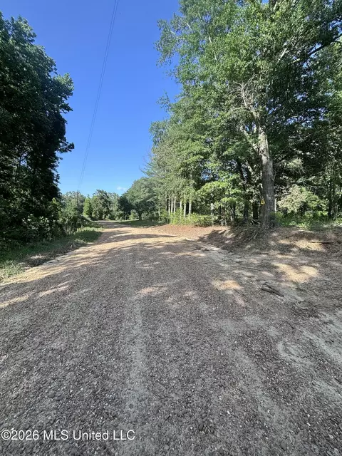Stevens Rd, Yazoo City, MS 39194 photo 20
