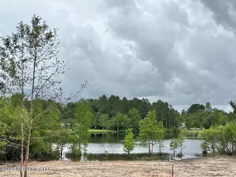 View/Area - 7183 Sunfish Cv, Perkinston, MS 39573 photo 2 of 11