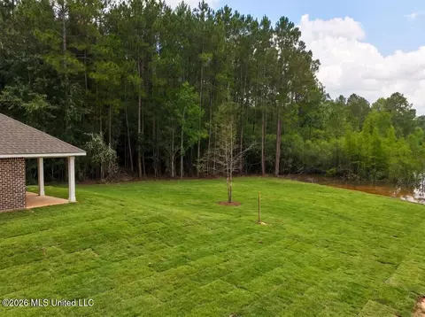 Exterior - 7183 Sunfish Cv, Perkinston, MS 39573 photo 6 of 7