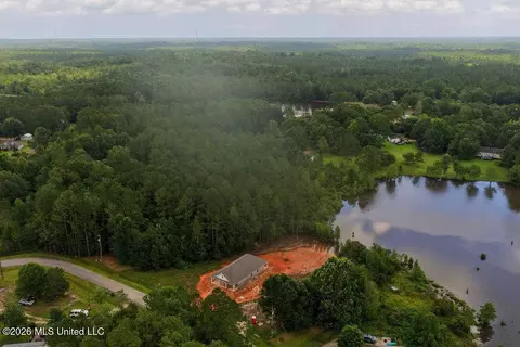 View/Area - 7183 Sunfish Cv, Perkinston, MS 39573 photo 5 of 11