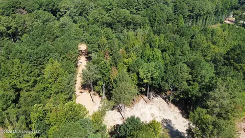 1 Highway 35, Carthage, MS 39051 photo 19