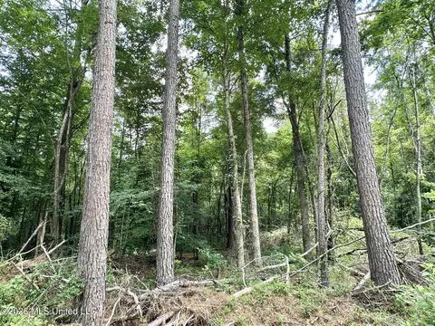 1 Highway 35, Carthage, MS 39051 photo 5