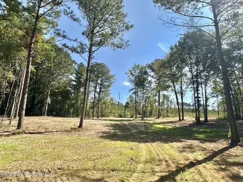 1 Highway 35, Carthage, MS 39051 photo 12