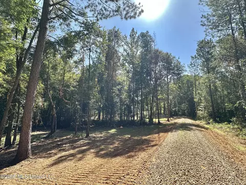 1 Highway 35, Carthage, MS 39051 photo 10