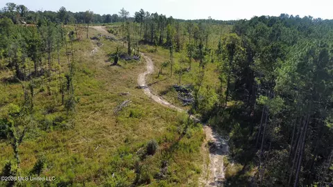 1 Highway 35, Carthage, MS 39051 photo 17