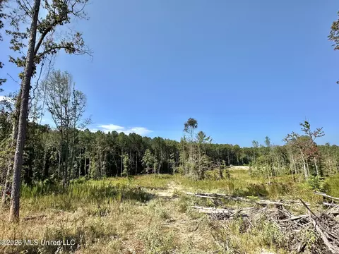 1 Highway 35, Carthage, MS 39051 photo 16