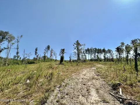 1 Highway 35, Carthage, MS 39051 photo 15