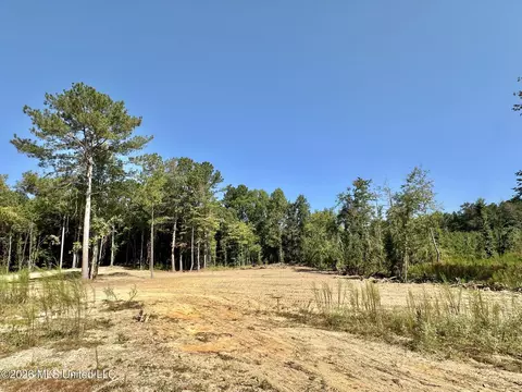 1 Highway 35, Carthage, MS 39051 photo 14