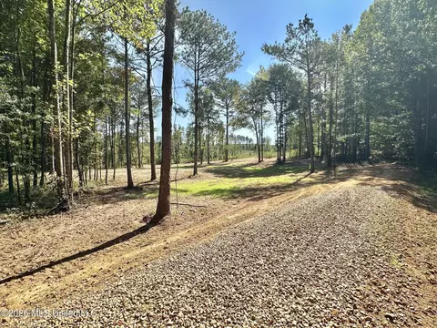 1 Highway 35, Carthage, MS 39051 photo 11