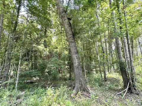 1 Highway 35, Carthage, MS 39051 photo 6